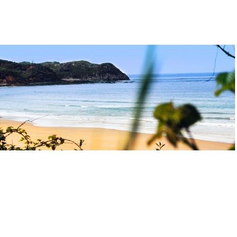 Actividades: Servicios de Camping La Playa Actividades: Servicios de Camping La Playa