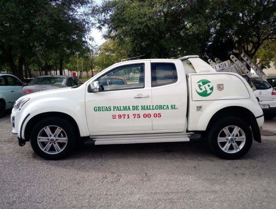 Grúas para garajes Grúas para garajes