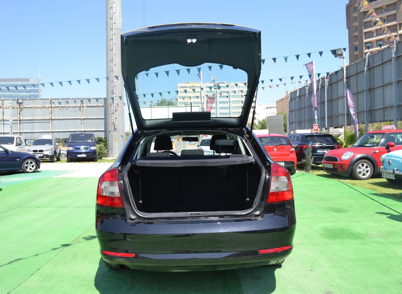 Skoda Octavia 1.6TDI CR Collection: Nuestros coches de Safari Car Skoda Octavia 1.6TDI CR Collection: Nuestros coches de Safari Car