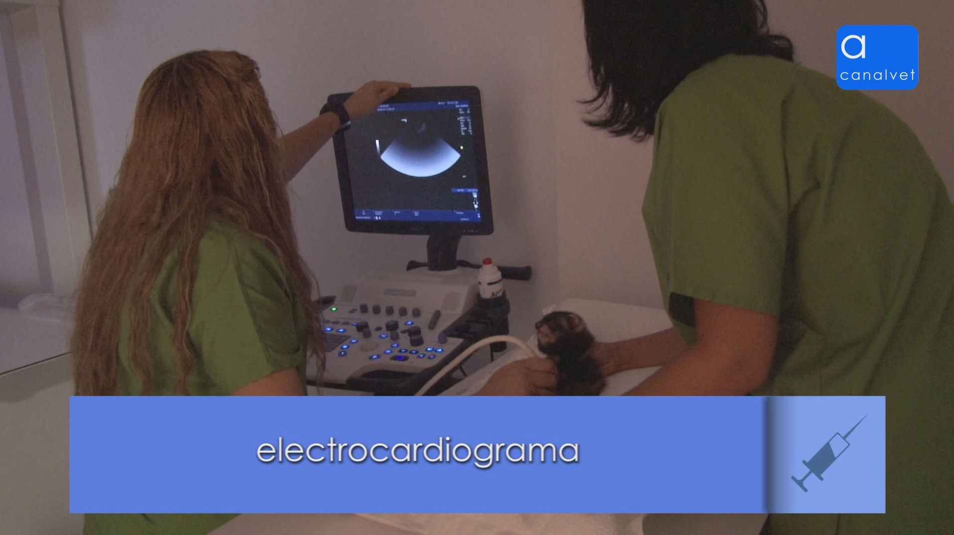Urgencias veterinarias Madrid: Productos y servicios de Clínica Veterinaria Boavet Urgencias veterinarias Madrid: Productos y servicios de Clínica Veterinaria Boavet