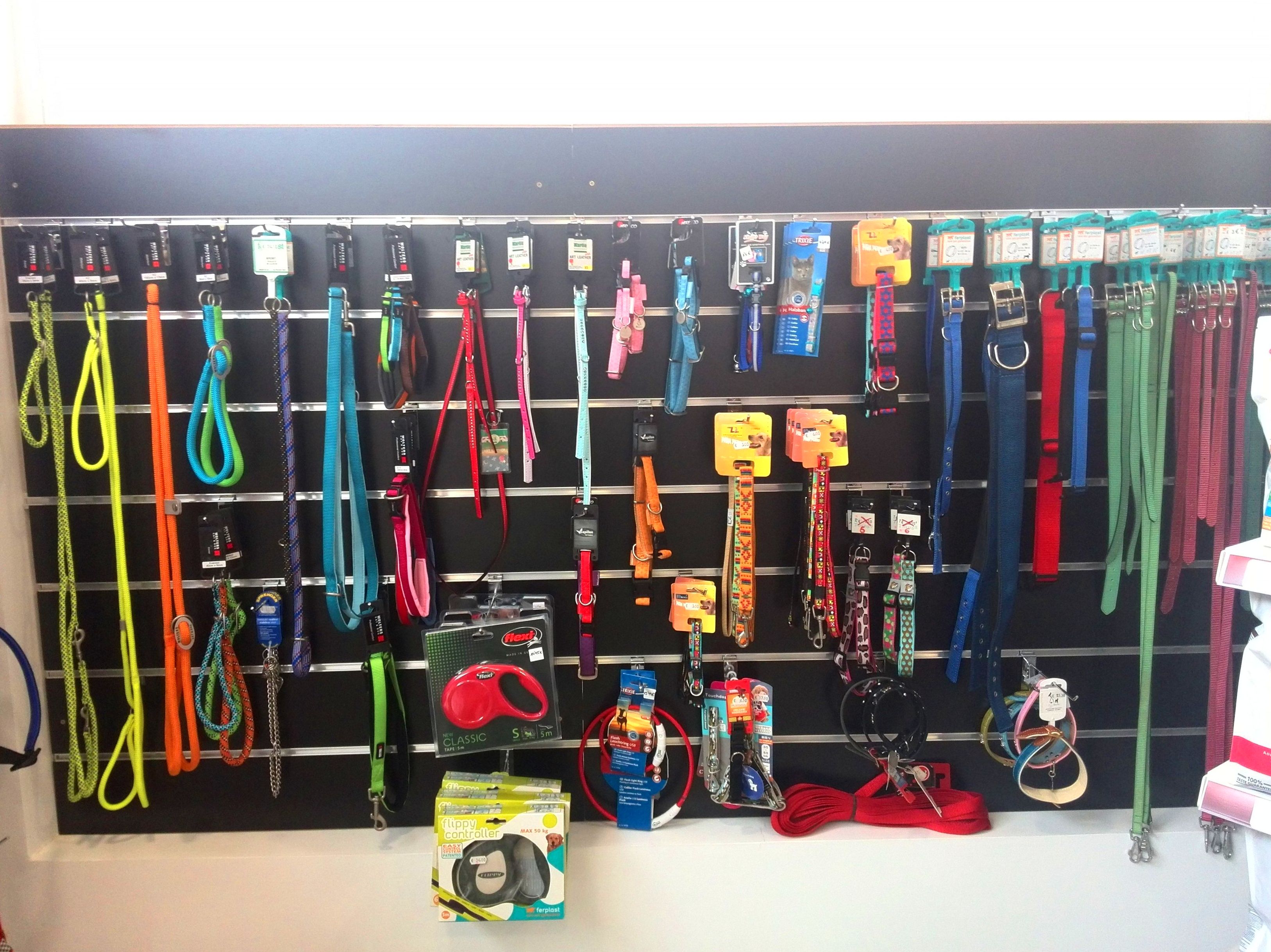 Collares y correas Collares y correas