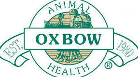 Alimentación roedores Madrid: Productos y servicios de Clínica Veterinaria Boavet Alimentación roedores Madrid: Productos y servicios de Clínica Veterinaria Boavet