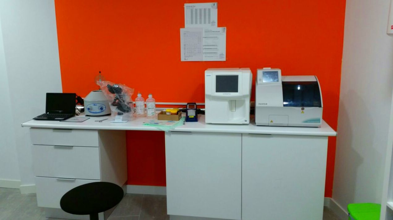 Análisis clínicos: Productos y servicios de Clínica Veterinaria Boavet Análisis clínicos: Productos y servicios de Clínica Veterinaria Boavet