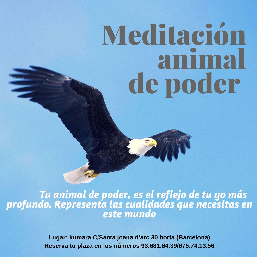 Meditación animal de poder: Terapias y actividades de Kumara Centro Holístico Meditación animal de poder: Terapias y actividades de Kumara Centro Holístico