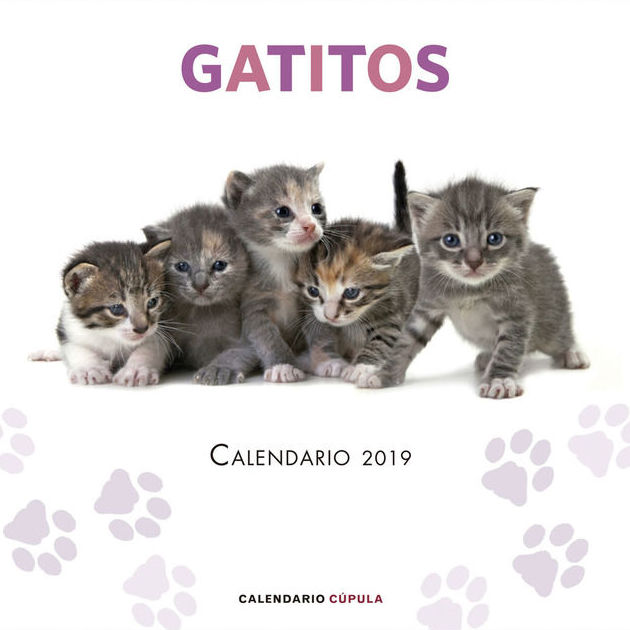 Calendarios Cupula 2019 con bellas imágenes Calendarios Cupula 2019 con bellas imágenes
