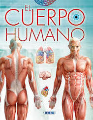 EL CUERPO HUMANO EL CUERPO HUMANO