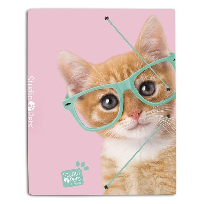 Carpeta solapas Studio Pets Cat Camera 8436565224902 Carpeta solapas Studio Pets Cat Camera 8436565224902