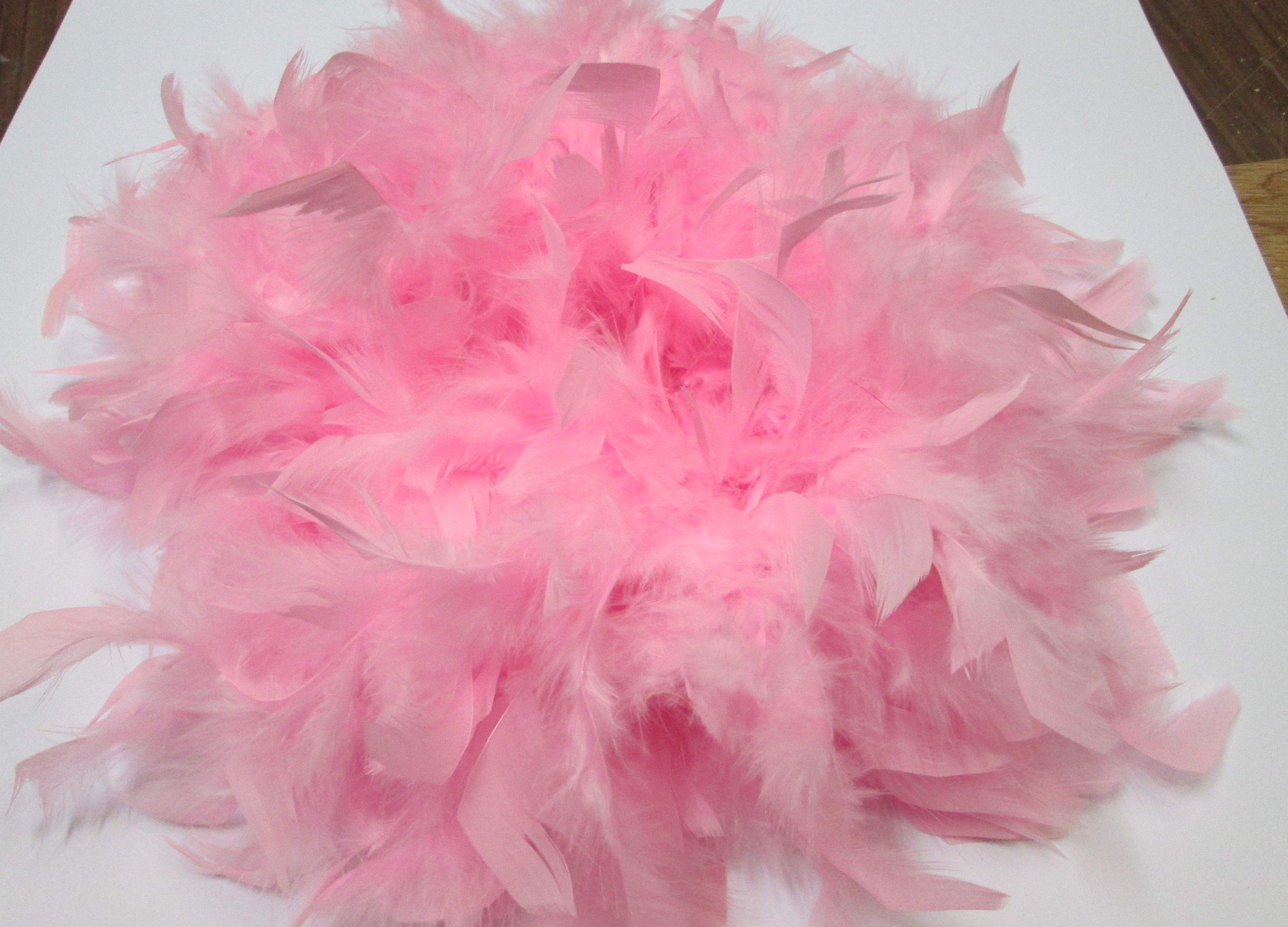 Gorro de plumas Gorro de plumas