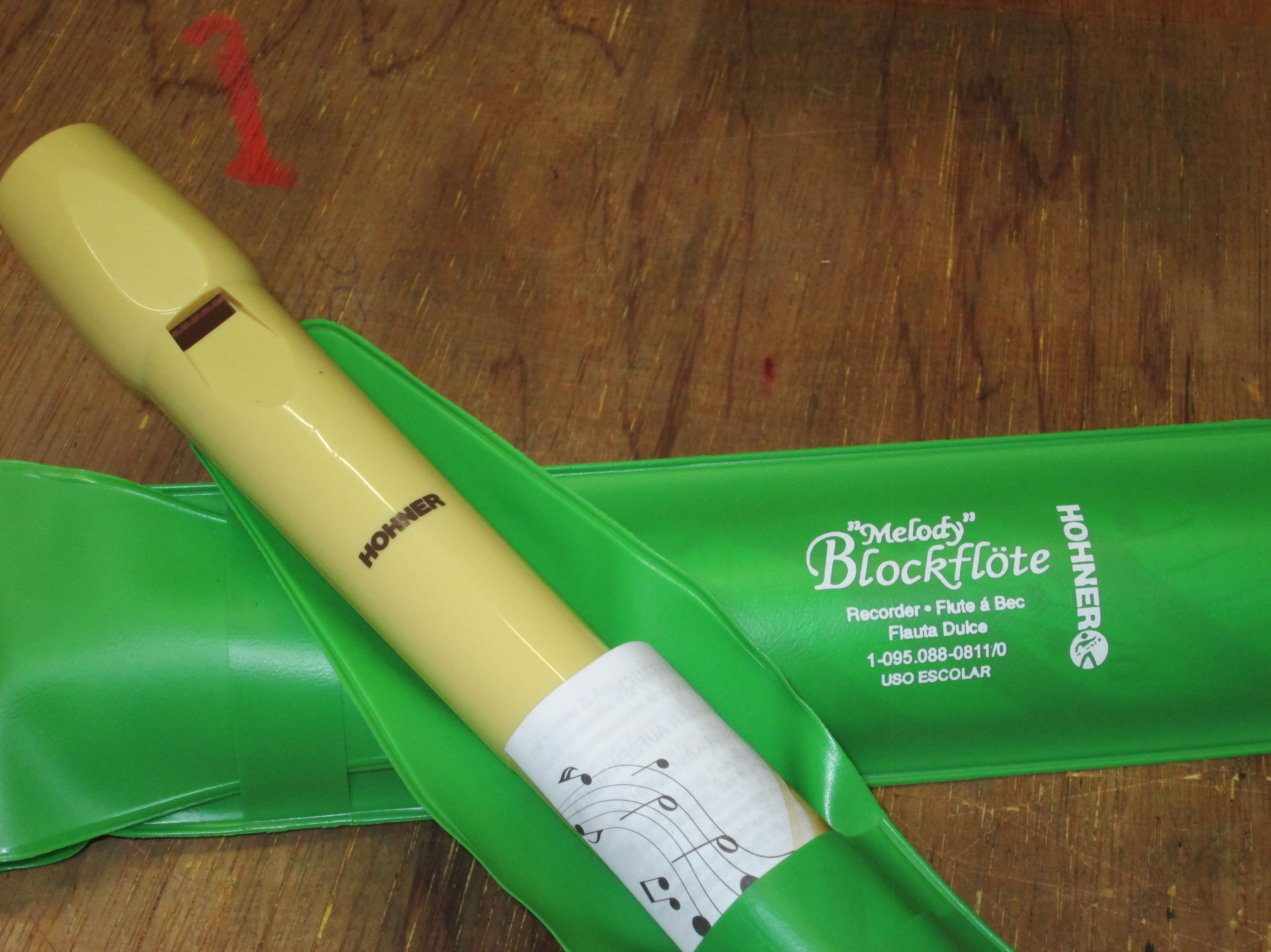 Flauta HOHNER funda verde Flauta HOHNER funda verde