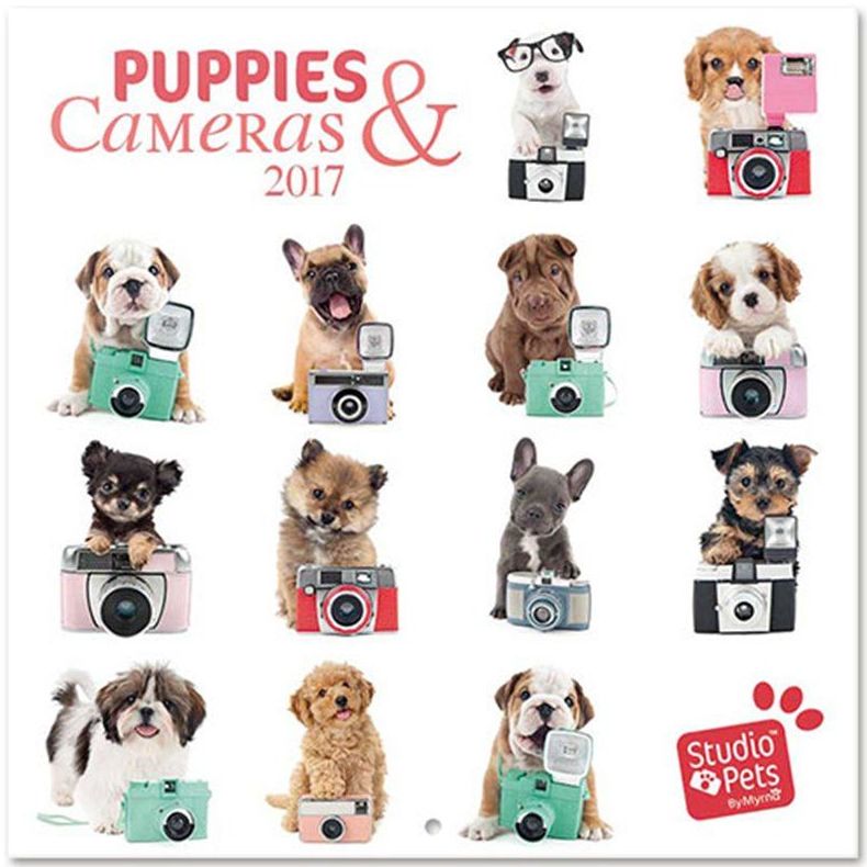 Calendario Pared 2017 Studio Pets Puppies Camera Calendario Pared 2017 Studio Pets Puppies Camera