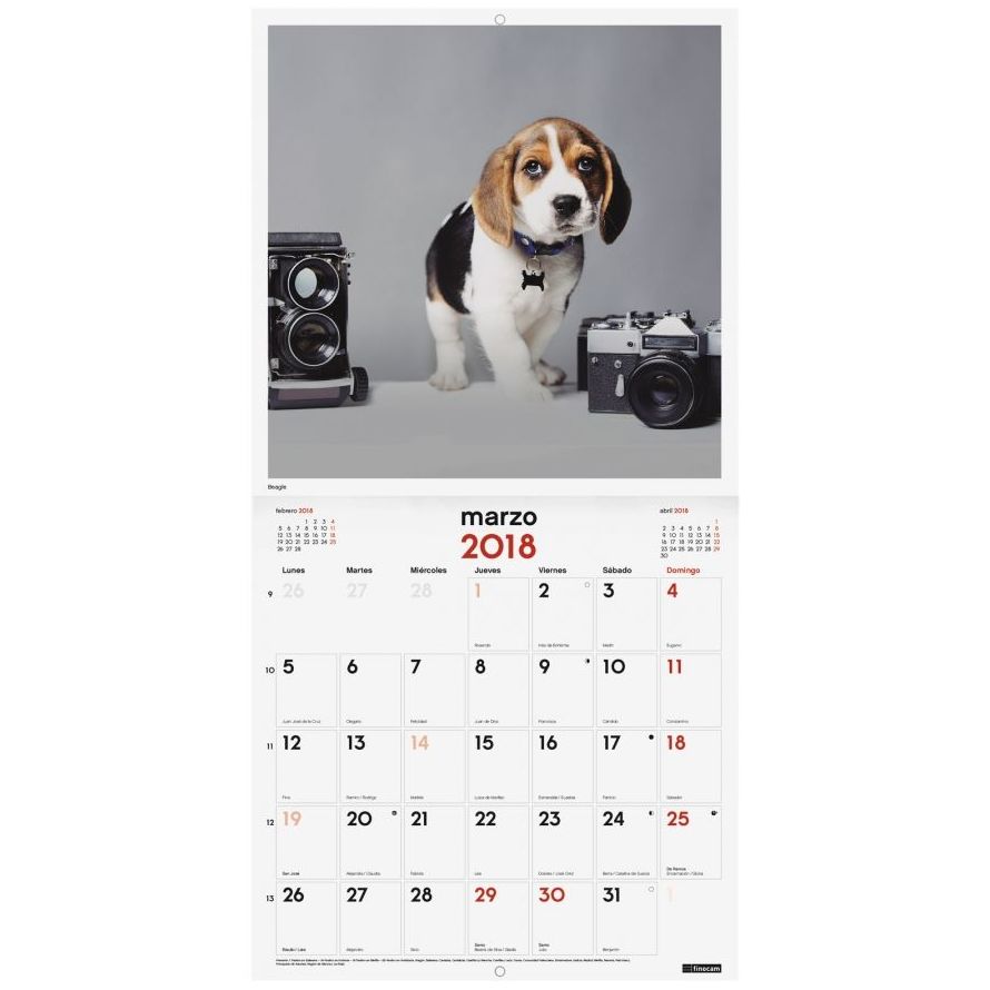 Calendario de pared de imágenes 30x30 2018. Finocam Cachorros Calendario de pared de imágenes 30x30 2018. Finocam Cachorros