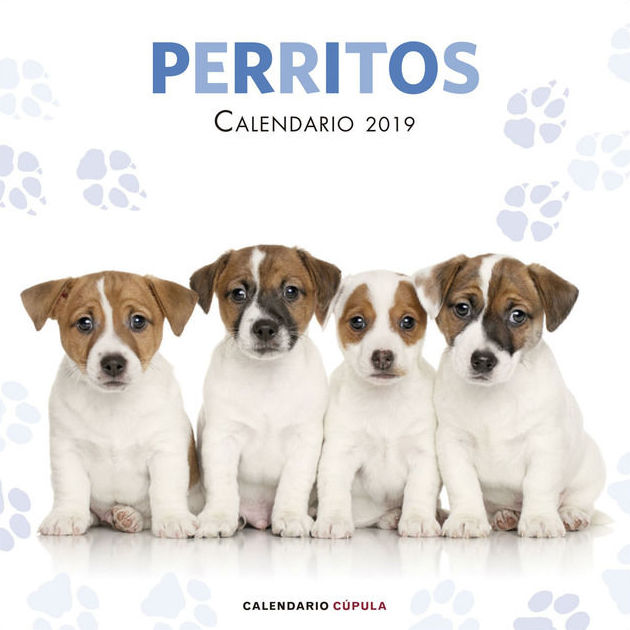 Calendarios Cupula 2019 con bellas imágenes Calendarios Cupula 2019 con bellas imágenes