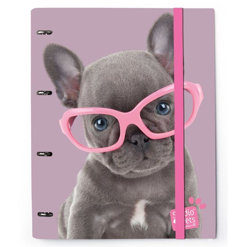 Carpeta 4 Anillas Troquelada Premium Studio Pets Dog Camera 8436565224995 Carpeta 4 Anillas Troquelada Premium Studio Pets Dog Camera 8436565224995