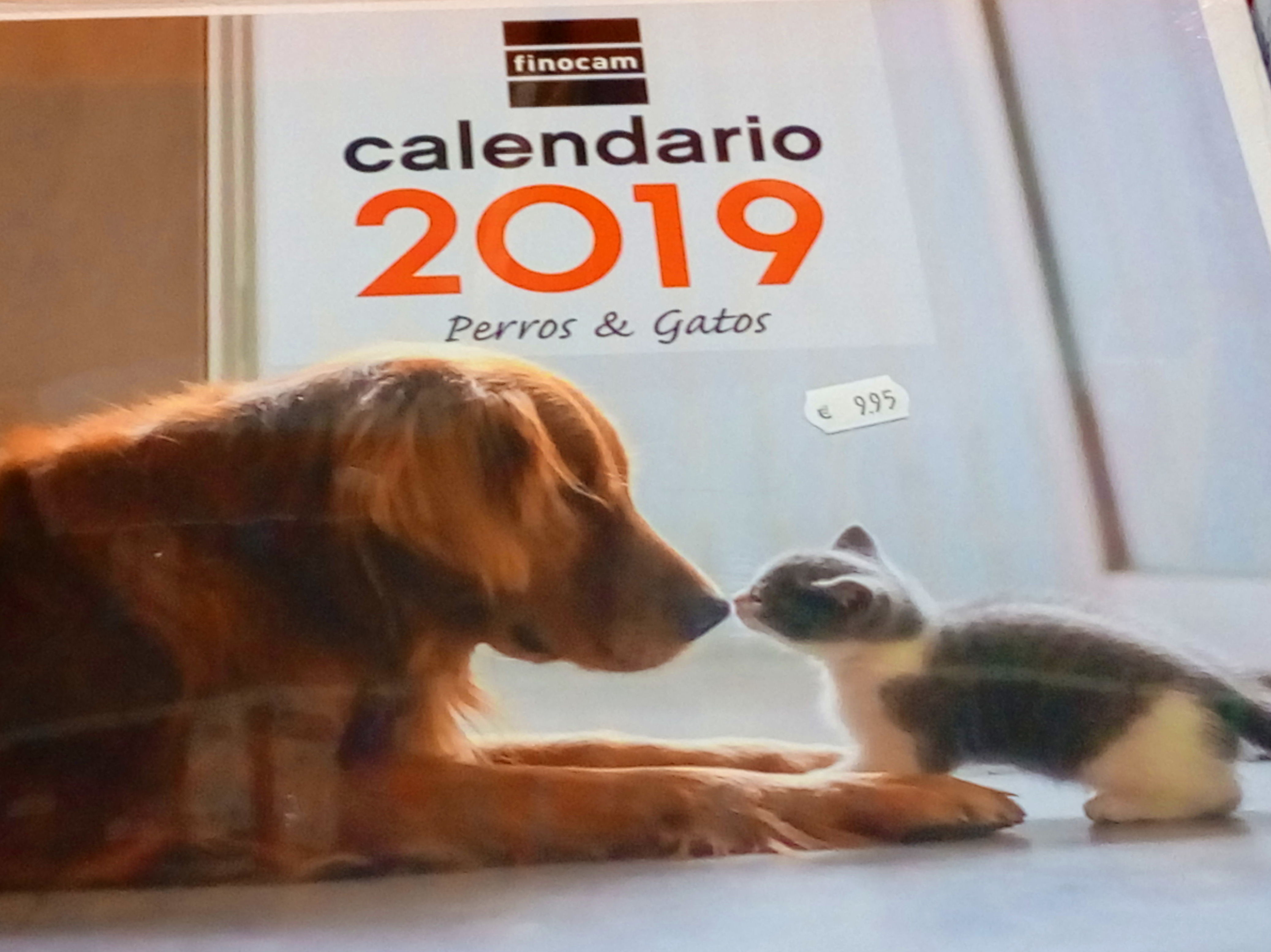 Para románticos Para románticos
