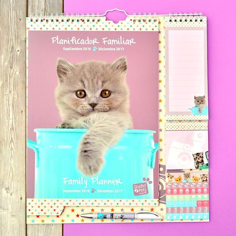 Calendario Planificador Familiar 2016/2017 Studio Pets Gatos Calendario Planificador Familiar 2016/2017 Studio Pets Gatos