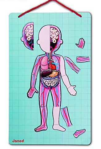 Cuerpo humano magnético. JANOD Cuerpo humano magnético. JANOD