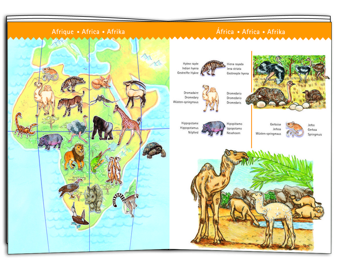 PUZZLE OBSERVACIÓN. LOS ANIMALES DEL MUNDO. DJECO. 17,95 € PUZZLE OBSERVACIÓN. LOS ANIMALES DEL MUNDO. DJECO. 17,95 €