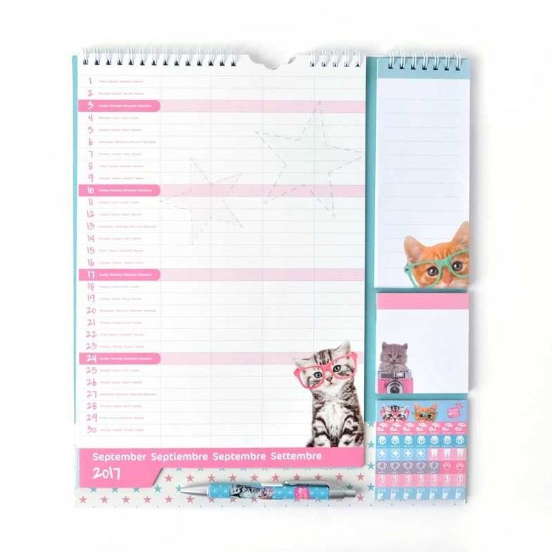 Calendario planificador familiar 2017/2018 Studio Pets Cat Camera Calendario planificador familiar 2017/2018 Studio Pets Cat Camera