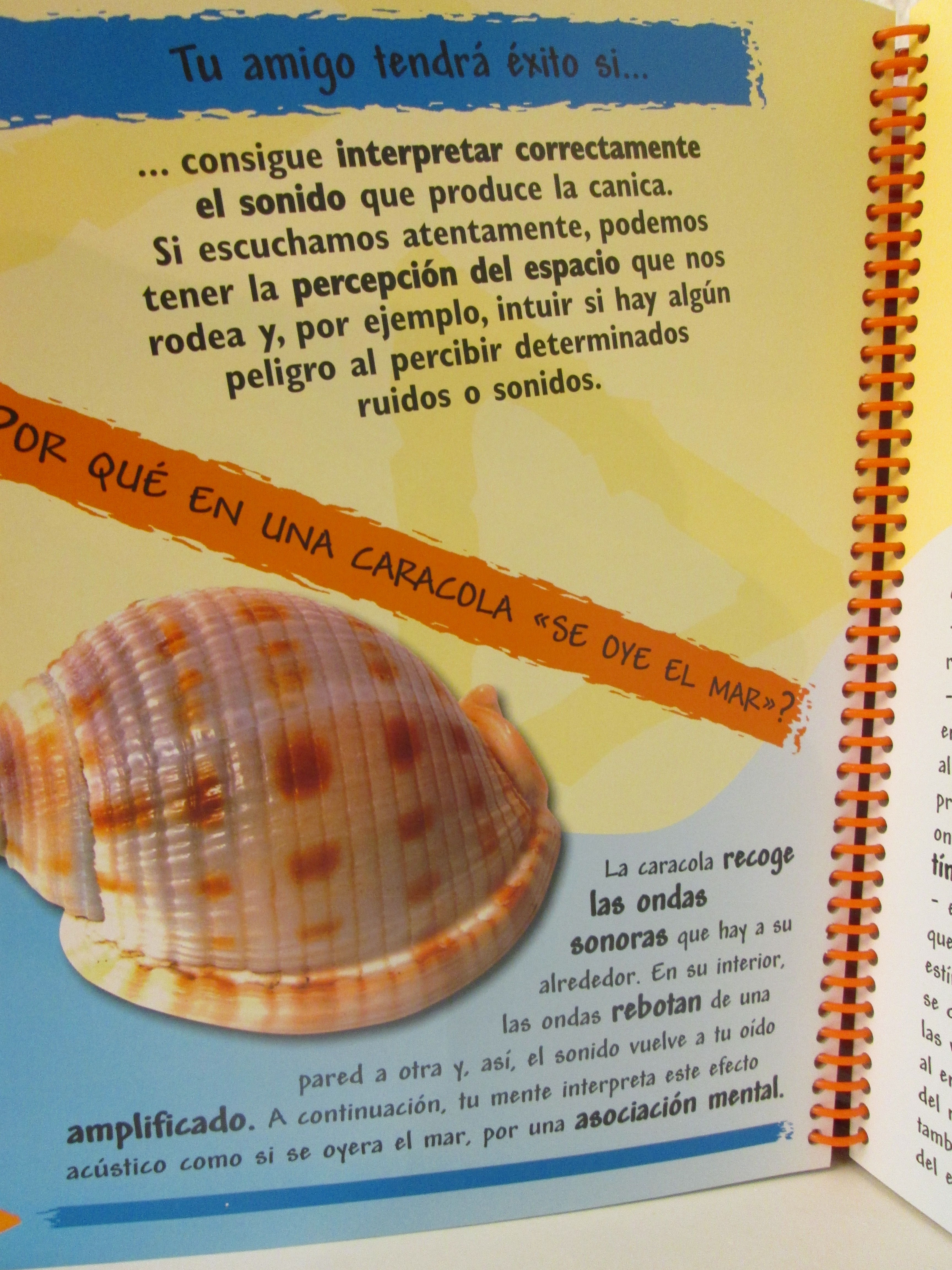 Experimenta Experimenta