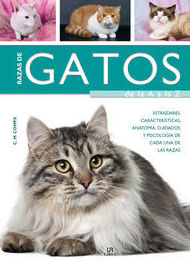 RAZAS DE GATOS DE LA A A LA Z RAZAS DE GATOS DE LA A A LA Z