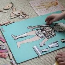 Cuerpo humano magnético. JANOD Cuerpo humano magnético. JANOD