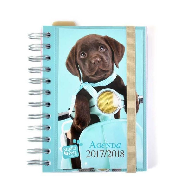 Agenda Escolar 2017/2018 Dia Pagina Studio Pets Dog 8436565225657 Agenda Escolar 2017/2018 Dia Pagina Studio Pets Dog 8436565225657