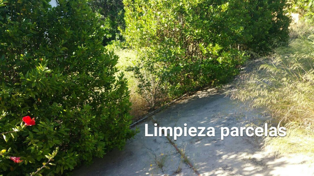 Limpieza parcelas Ches Pa Limpieza parcelas Ches Pa