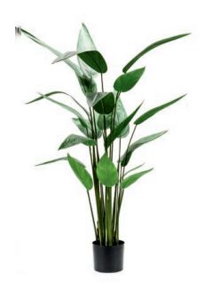 Árbol Heliconia: ¿Qué hacemos? de Ches Pa, S.L. Árbol Heliconia: ¿Qué hacemos? de Ches Pa, S.L.