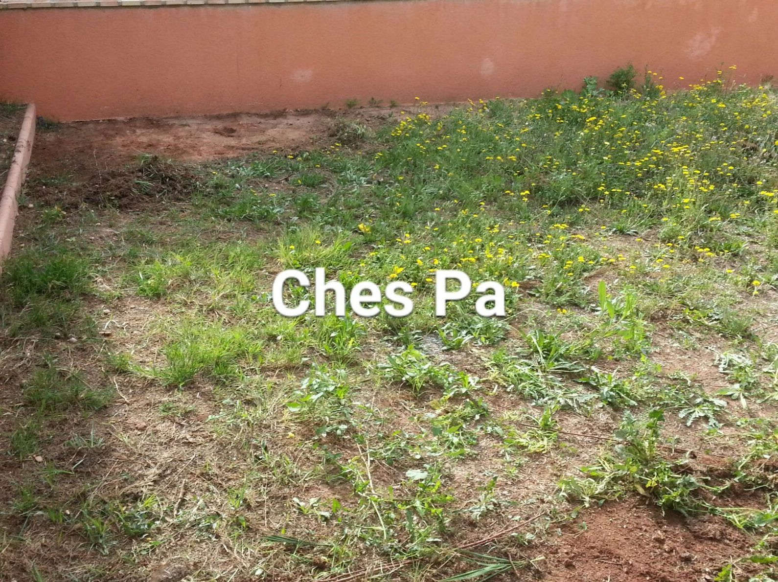 Proyecto Ches Pa. Antes en vivienda particular en Valencia