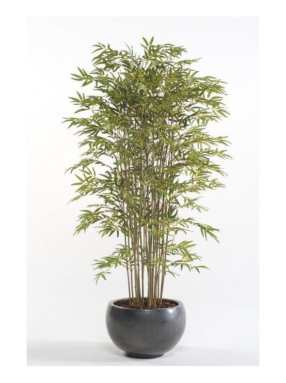Árbol bambú acabado Deluxe: ¿Qué hacemos? de Ches Pa, S.L. Árbol bambú acabado Deluxe: ¿Qué hacemos? de Ches Pa, S.L.