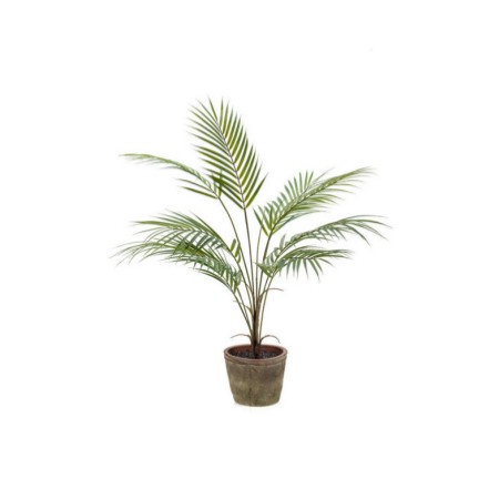 Planta Chamaedorea: ¿Qué hacemos? de Ches Pa, S.L. Planta Chamaedorea: ¿Qué hacemos? de Ches Pa, S.L.