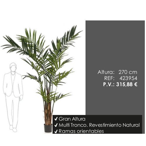 Árbol Kentia Maxi: ¿Qué hacemos? de Ches Pa, S.L. Árbol Kentia Maxi: ¿Qué hacemos? de Ches Pa, S.L.