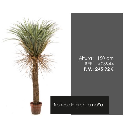 Árbol Yucca Elegant Salvaje: ¿Qué hacemos? de Ches Pa, S.L. Árbol Yucca Elegant Salvaje: ¿Qué hacemos? de Ches Pa, S.L.