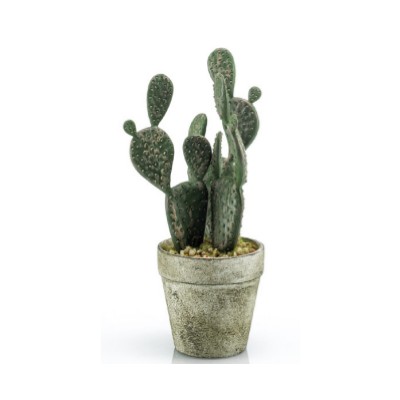 Mini cactus plano: ¿Qué hacemos? de Ches Pa, S.L. Mini cactus plano: ¿Qué hacemos? de Ches Pa, S.L.