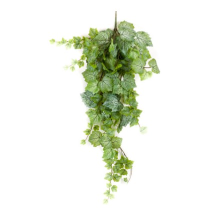 Planta colgante hoja de parra: ¿Qué hacemos? de Ches Pa, S.L. Planta colgante hoja de parra: ¿Qué hacemos? de Ches Pa, S.L.