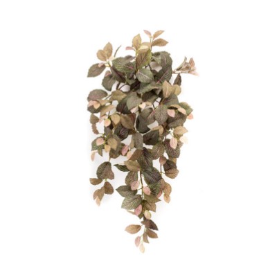 Planta colgante hoja japonesa: ¿Qué hacemos? de Ches Pa, S.L. Planta colgante hoja japonesa: ¿Qué hacemos? de Ches Pa, S.L.