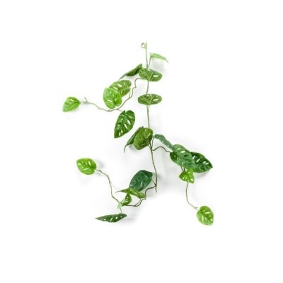 Guirnalda Monstera: ¿Qué hacemos? de Ches Pa, S.L. Guirnalda Monstera: ¿Qué hacemos? de Ches Pa, S.L.