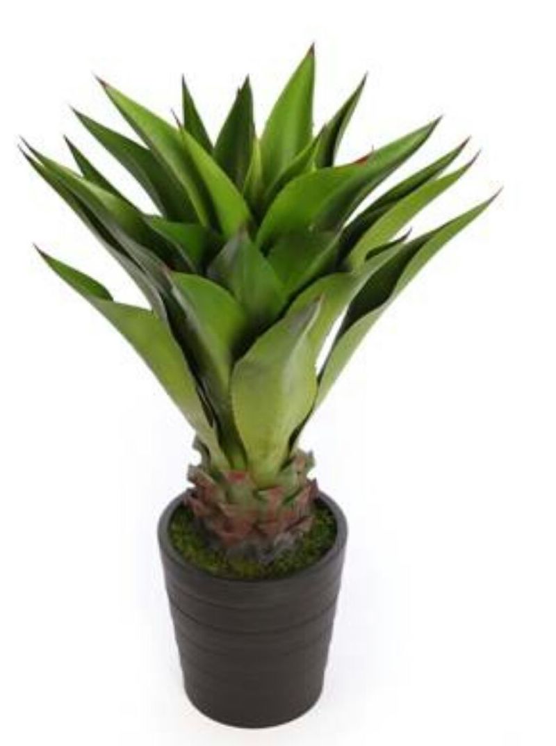 ÁGAPE ARTIFICIAL EN MACETA 82CM EXTERIOR ÁGAPE ARTIFICIAL EN MACETA 82CM EXTERIOR