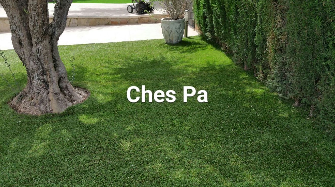 Mantenimiento Ches Pa en jardín instalado hace años