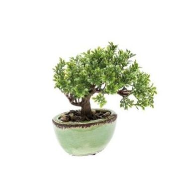 Mini Bonsái Ficus: ¿Qué hacemos? de Ches Pa, S.L. Mini Bonsái Ficus: ¿Qué hacemos? de Ches Pa, S.L.