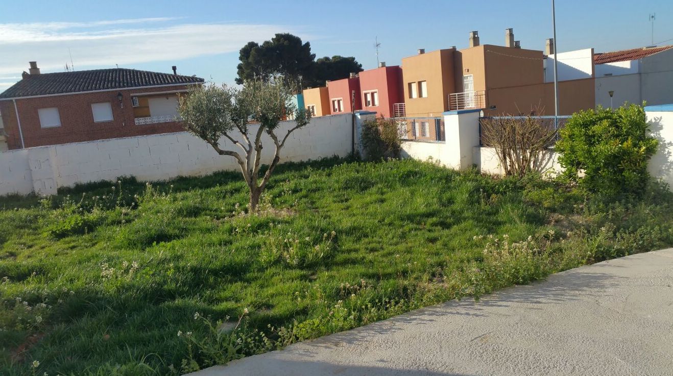 Proyecto Ches Pa paisajismo con césped artificial Valencia en jardín particular