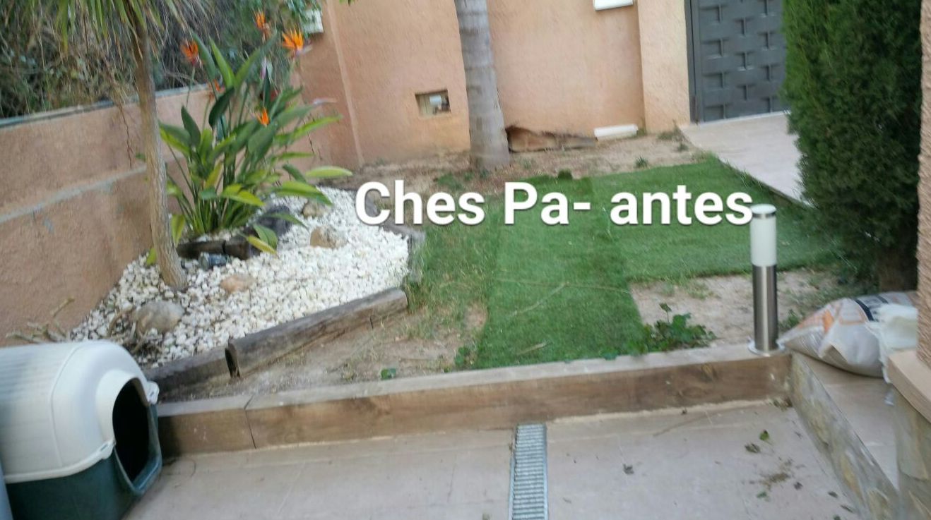 Proyecto Ches Pa. Antes en vivienda particular en Valencia