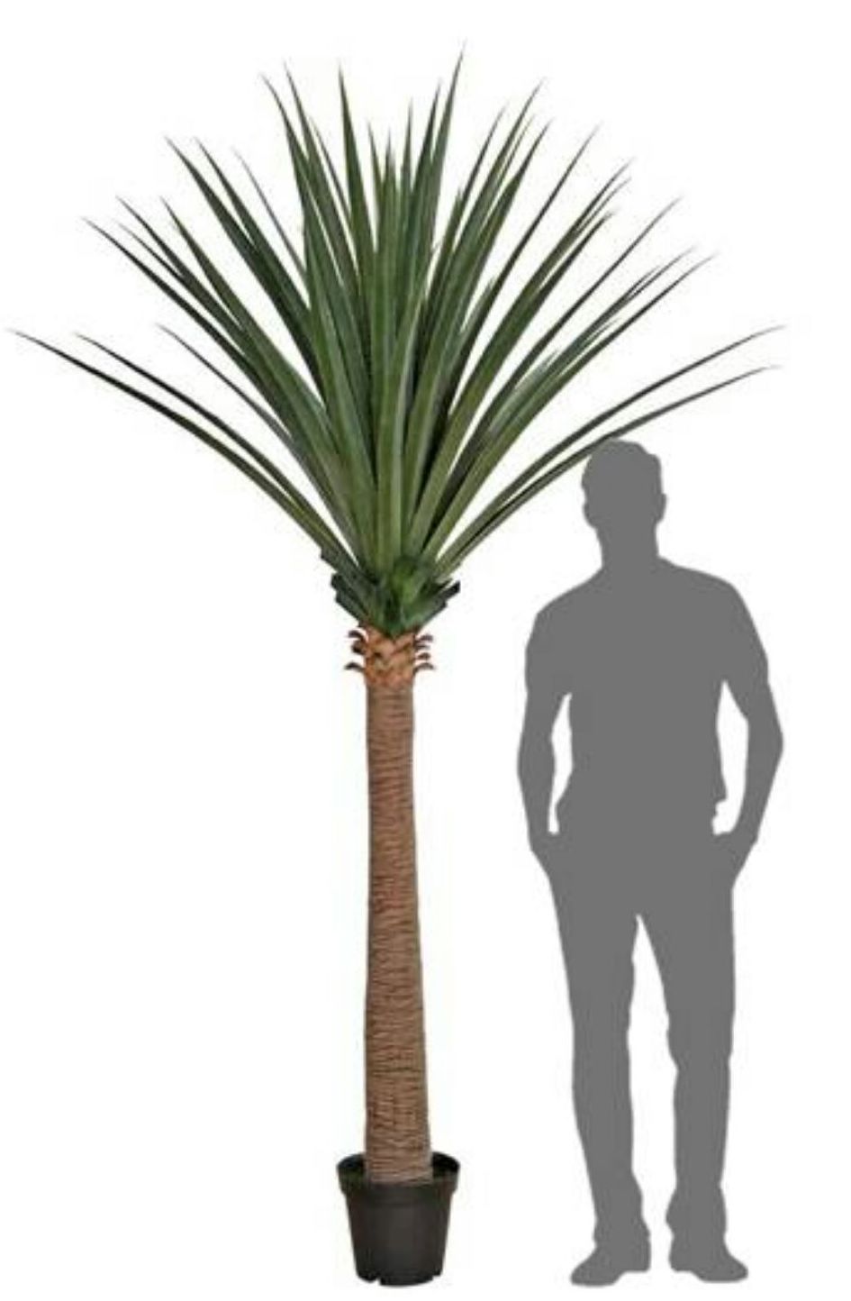 DRACENA DRAGO ARTIFICIAL EN MACETA 260CM EXTERIOR DRACENA DRAGO ARTIFICIAL EN MACETA 260CM EXTERIOR
