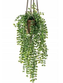 Planta decorativa techo 420809: ¿Qué hacemos? de Ches Pa, S.L. Planta decorativa techo 420809: ¿Qué hacemos? de Ches Pa, S.L.