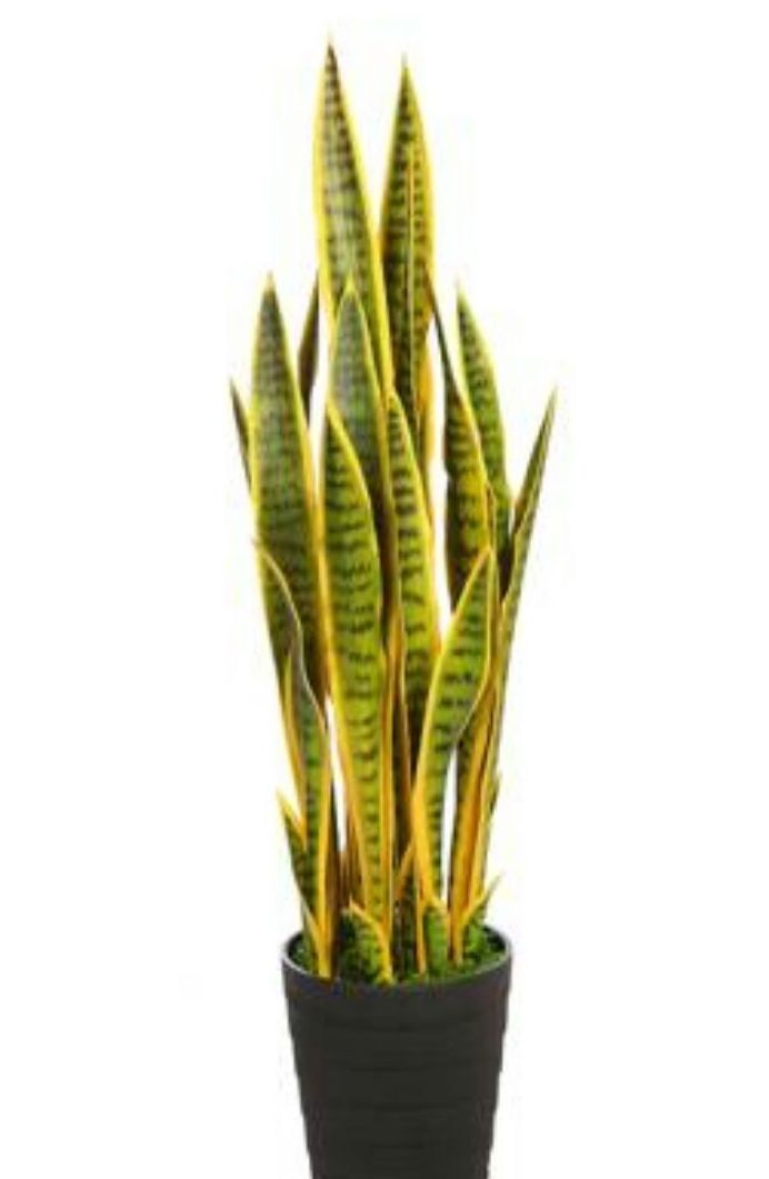 Planta artificial exterior SAN SE VIERA EN MACETA 106CM Planta artificial exterior SAN SE VIERA EN MACETA 106CM