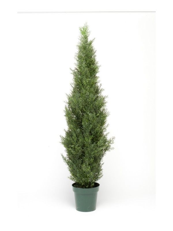 Venta y distribución de plantas y arboles, artificiales de interior: ¿Qué hacemos? de Ches Pa, S.L. Venta y distribución de plantas y arboles, artificiales de interior: ¿Qué hacemos? de Ches Pa, S.L.