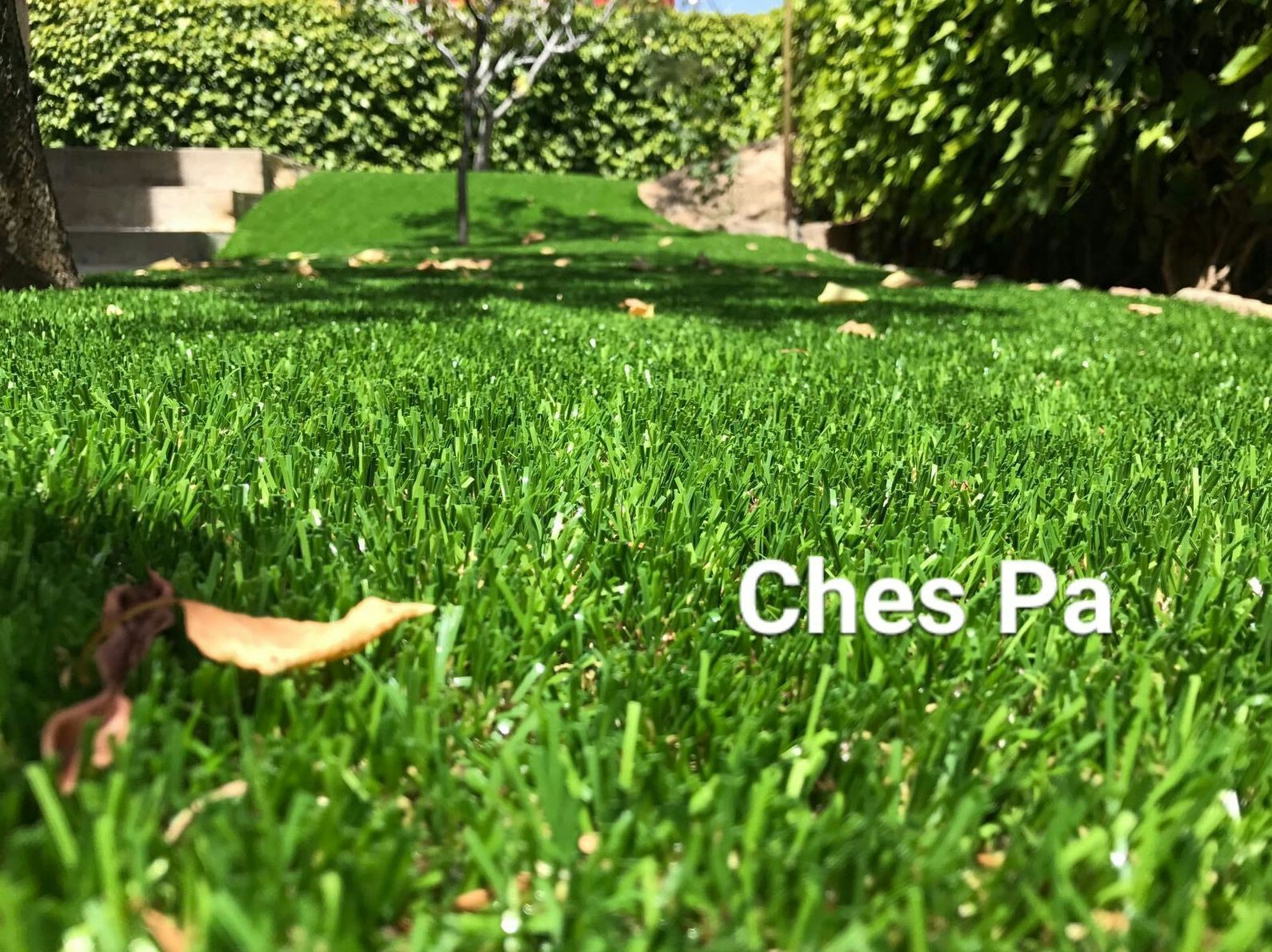Proyectos de paisajismo: ¿Qué hacemos? de Ches Pa, S.L. Proyectos de paisajismo: ¿Qué hacemos? de Ches Pa, S.L.