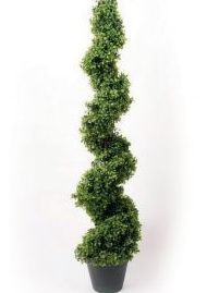Árbol boj espiral: ¿Qué hacemos? de Ches Pa, S.L. Árbol boj espiral: ¿Qué hacemos? de Ches Pa, S.L.
