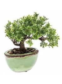 bonsai ficus artificial Valencia bonsai ficus artificial Valencia