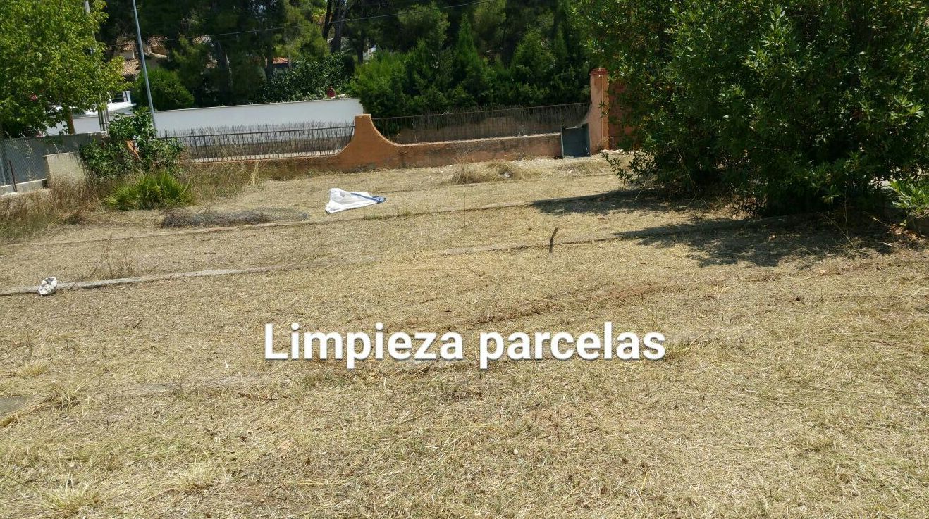 Limpieza parcelas Ches Pa Limpieza parcelas Ches Pa